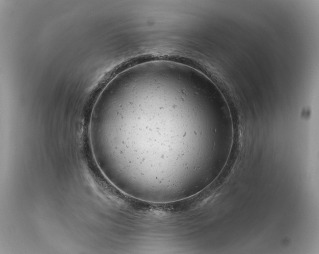 X0000112540592200908311448