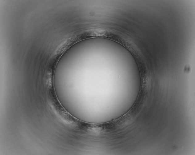 X0000112540598200908311448