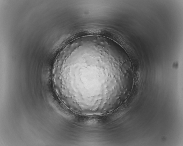 X0000112540600200908311448