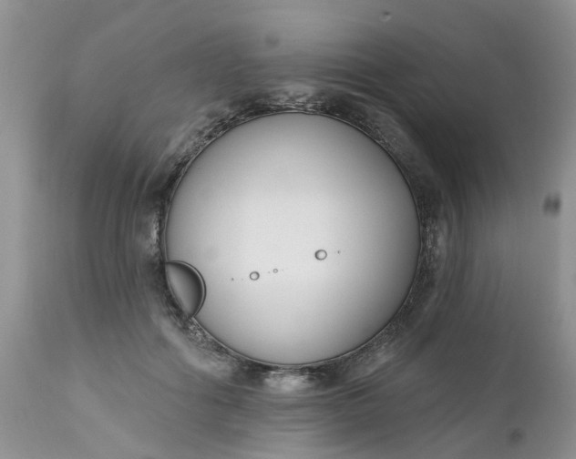X0000112540602200908311448