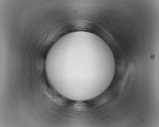 X0000112540603200908311448