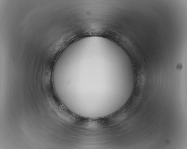 X0000112540604200908311448