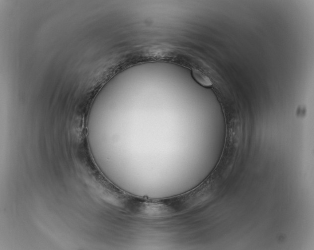 X0000112540605200908311448