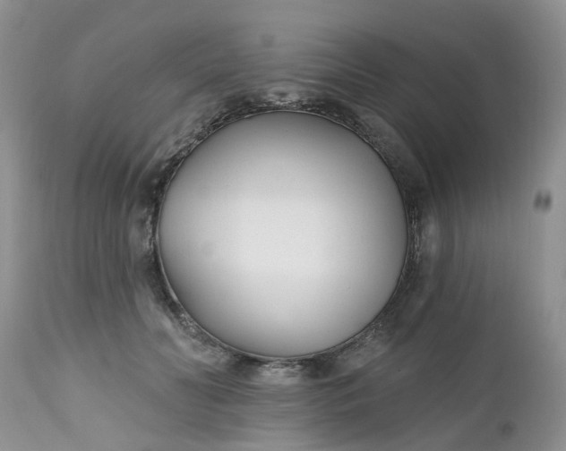 X0000112540606200908311448