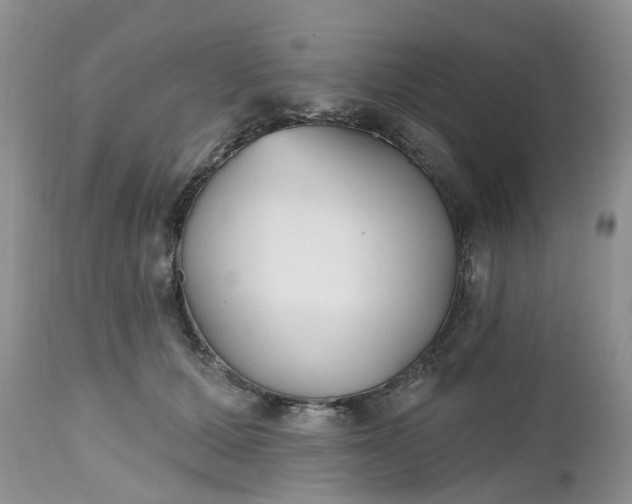 X0000112540607200908311448
