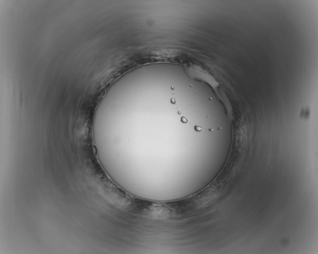 X0000112540608200908311448