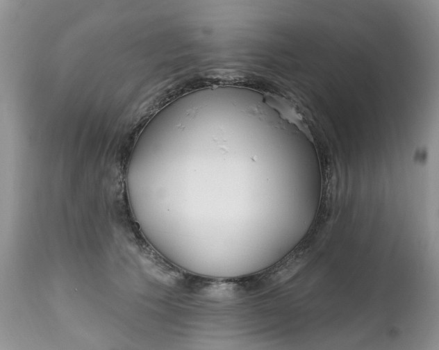 X0000112540609200908311448