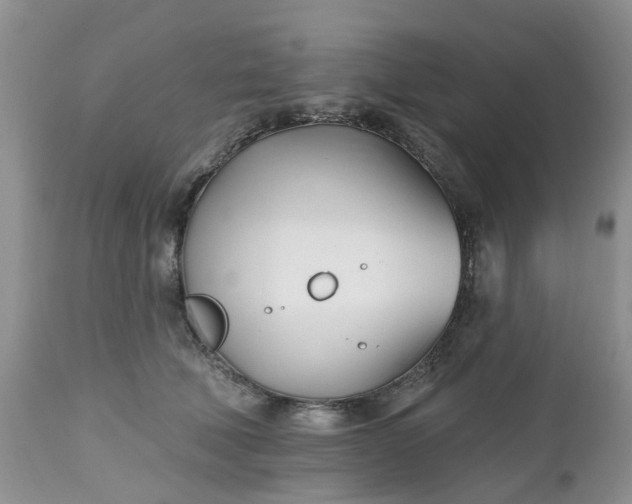 X0000112540610200908311448