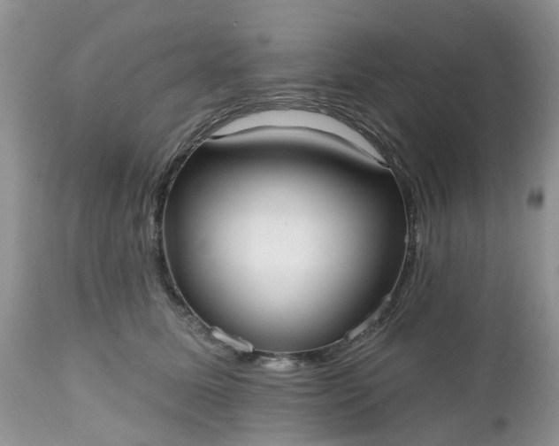 X0000112540611200908311448
