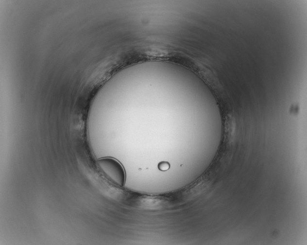 X0000112540614200908311448