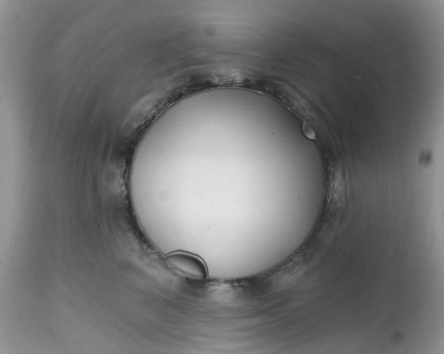 X0000112540616200908311448