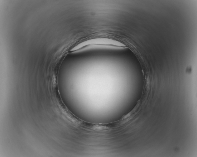 X0000112540617200908311448
