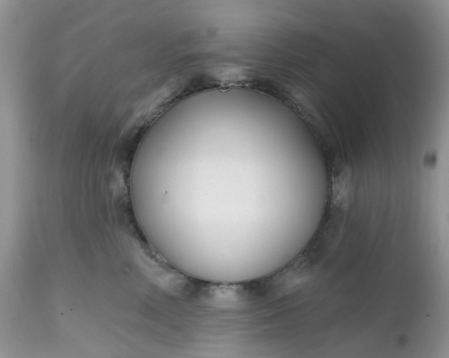 X0000112540618200908311448