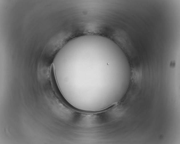 X0000112540621200908311448