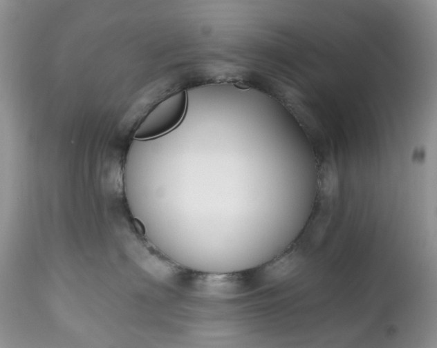 X0000112540622200908311448