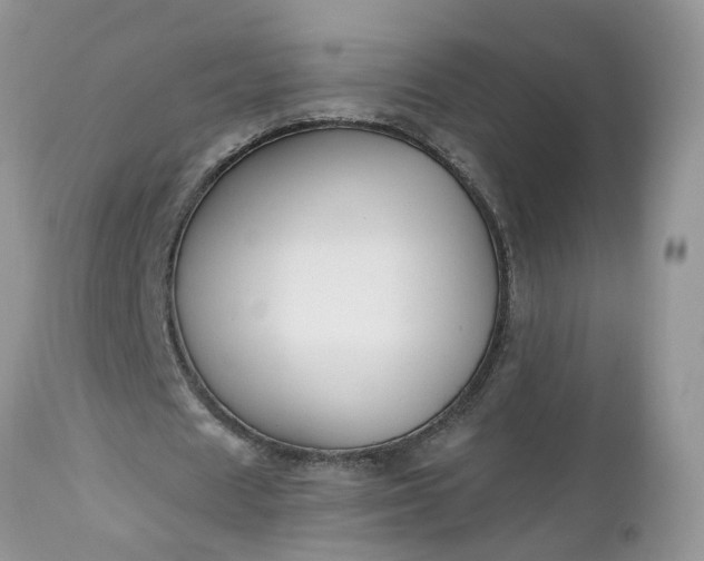 X0000112540625200908311447