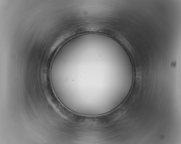 X0000112540626200908311447
