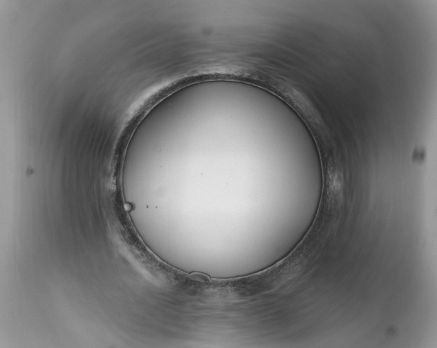 X0000112540628200908311447