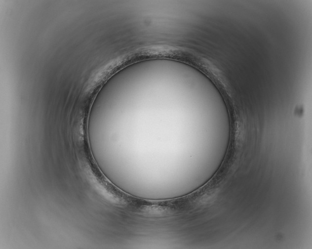 X0000112540633200908311447
