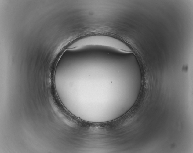 X0000112540634200908311447