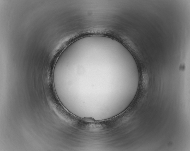 X0000112540636200908311447