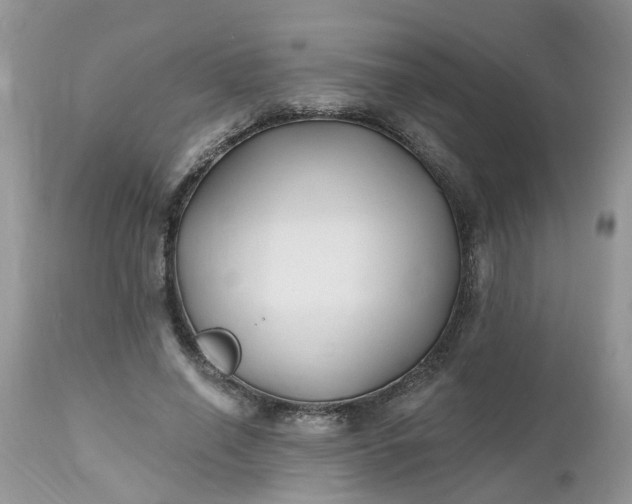 X0000112540638200908311447