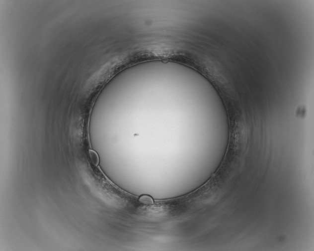 X0000112540639200908311447