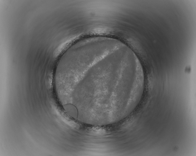 X0000112540640200908311447