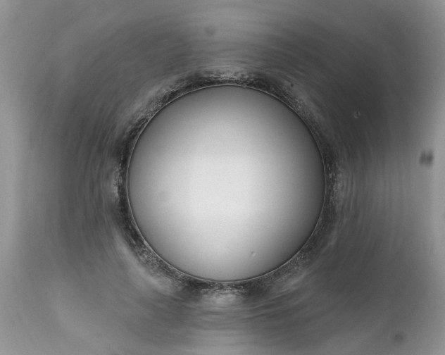 X0000112540643200908311447