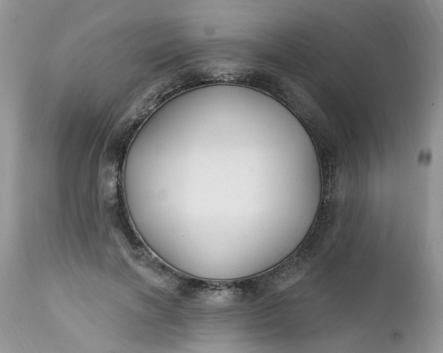 X0000112540646200908311447