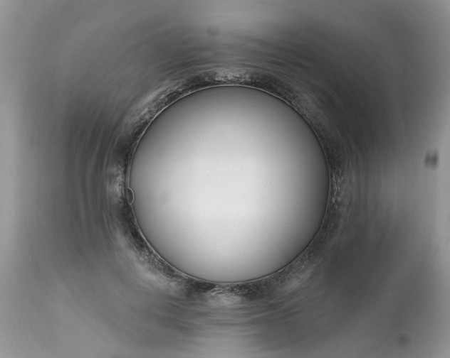 X0000112540648200908311447
