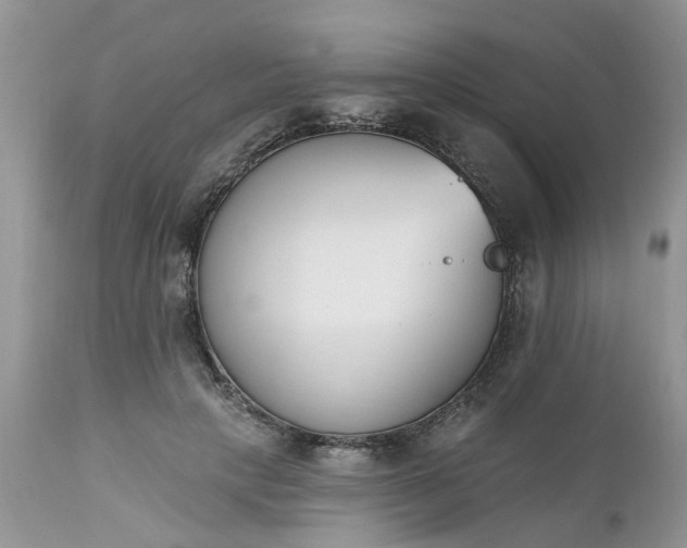 X0000112540649200908311447