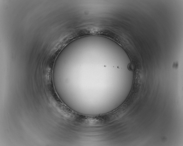 X0000112540650200908311447