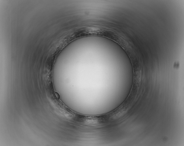 X0000112540653200908311447