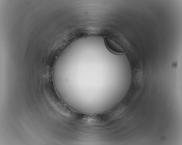 X0000112540655200908311447