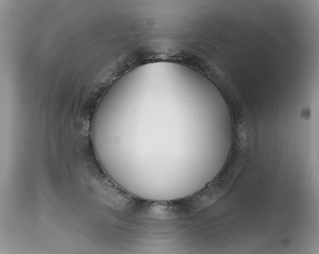 X0000112540657200908311447