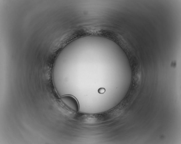 X0000112540658200908311447