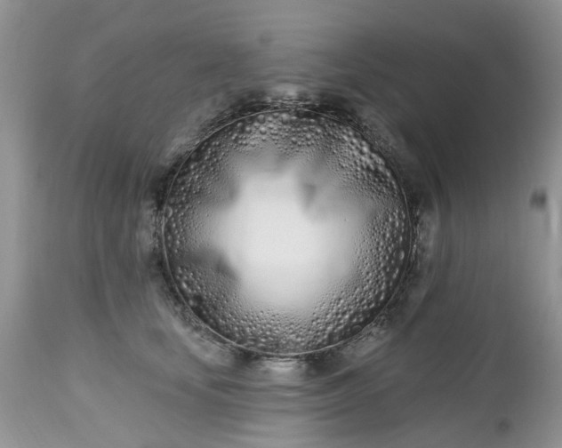 X0000112540659200908311447