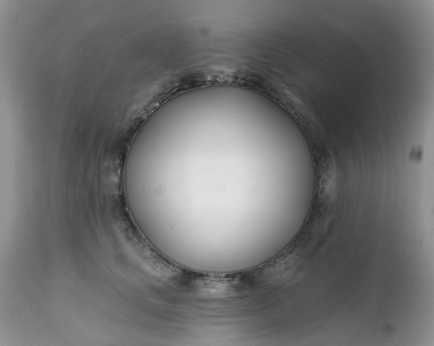 X0000112540661200908311447
