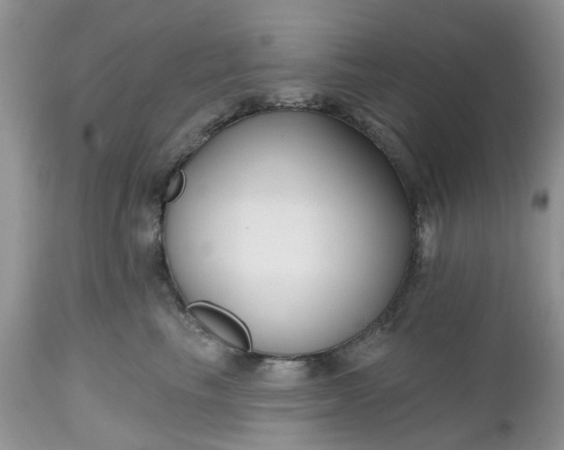 X0000112540665200908311447