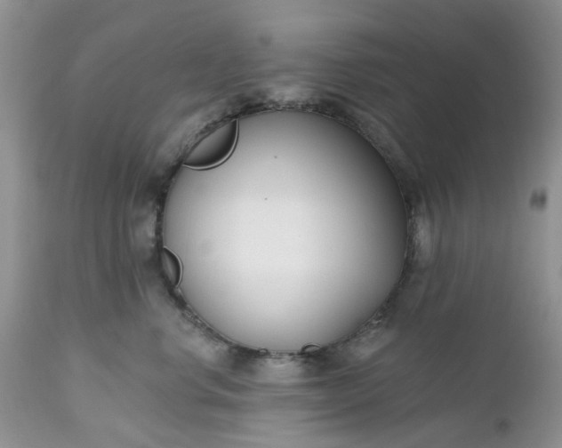 X0000112540668200908311448