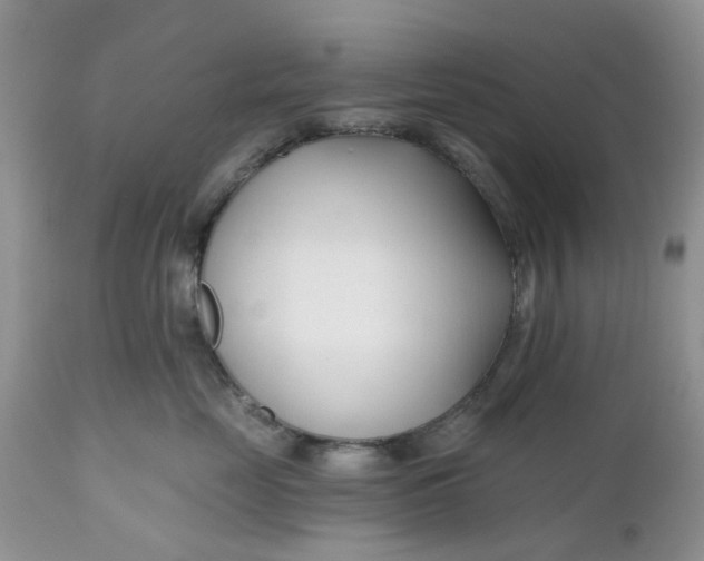 X0000112540669200908311448