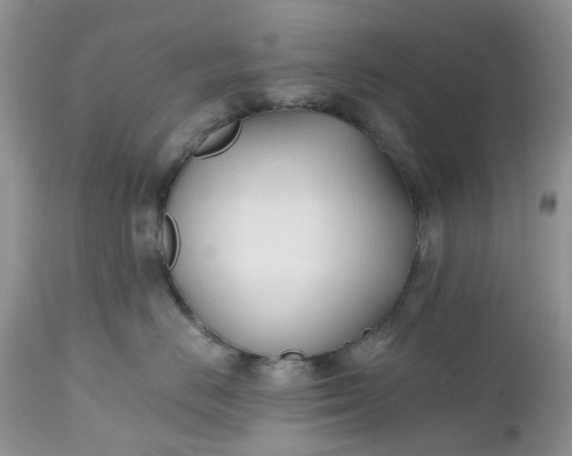 X0000112540670200908311448