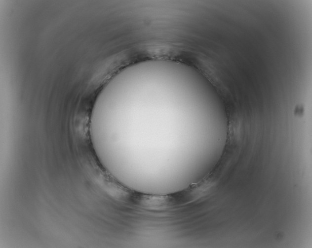 X0000112540671200908311448
