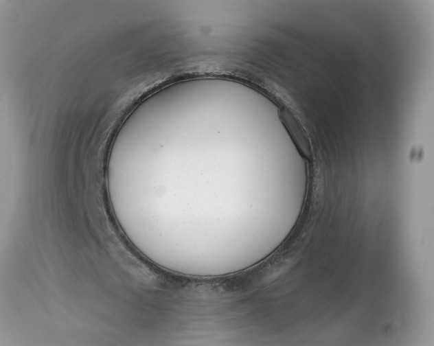X0000112540673200908311447