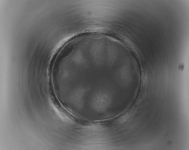 X0000112540674200908311447