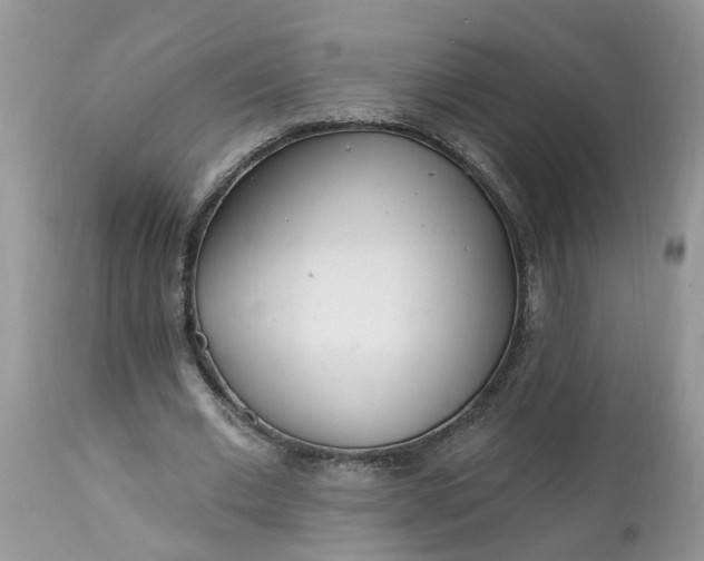 X0000112540677200908311447