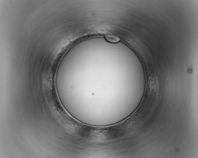 X0000112540680200908311447