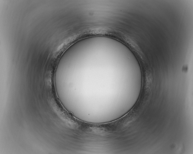 X0000112540681200908311447