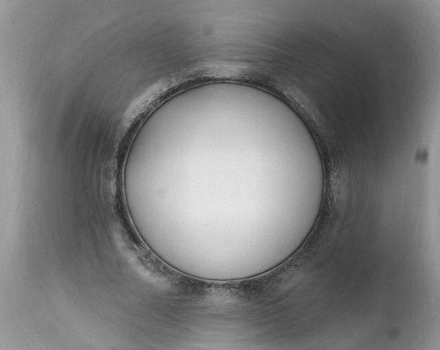 X0000112540682200908311447